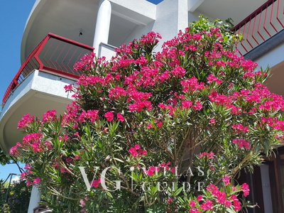 Melone Apartman 3 Senj Sveti Juraj