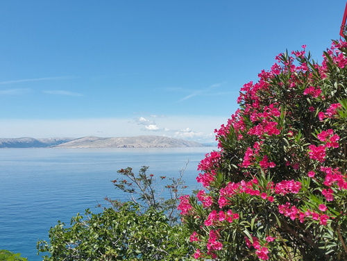 Melone Apartman 3 Senj Sveti Juraj