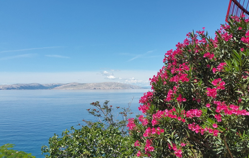 Melone Apartman 3 Senj Sveti Juraj