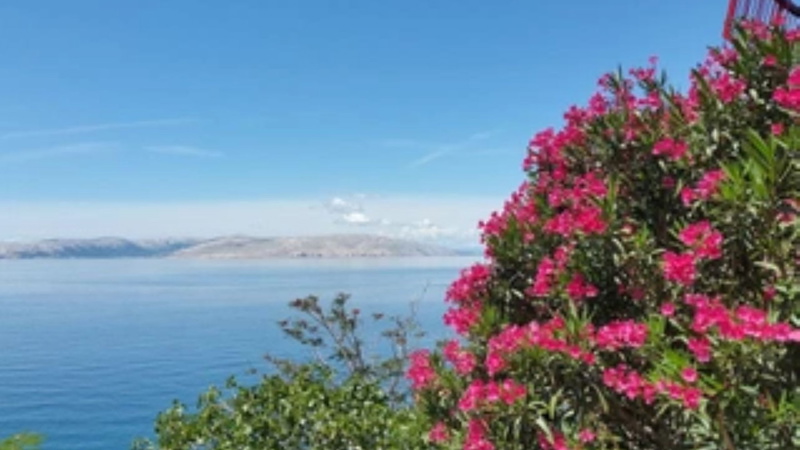 Melone Apartman 3 Senj Sveti Juraj