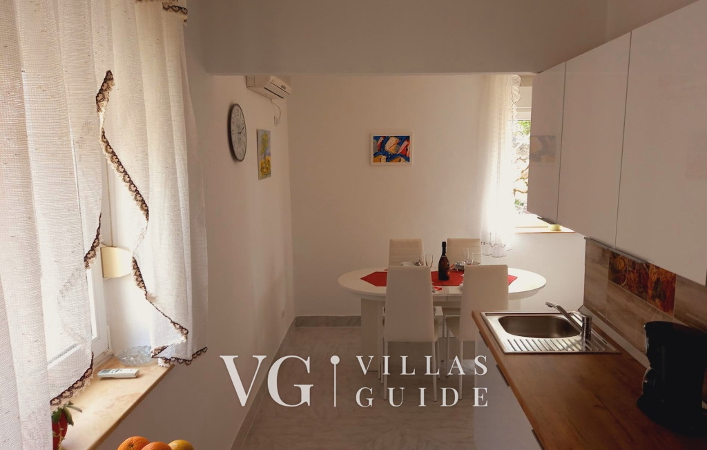 Villa Nina with pool - Kvarner Kuhinja