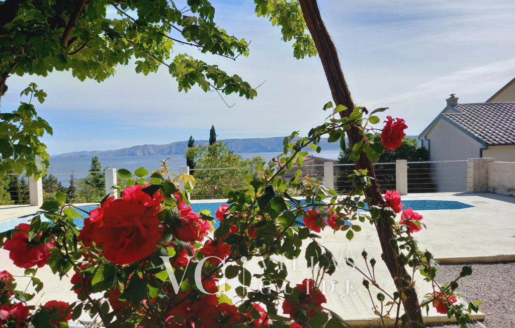 Villa Nina with pool - Kvarner Garden and property exterior