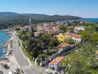 Villa Palazzo Limone with pool Mali Lošinj