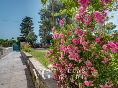 Villa Palazzo Limone with pool Mali Lošinj Giardino e esterni della proprietà