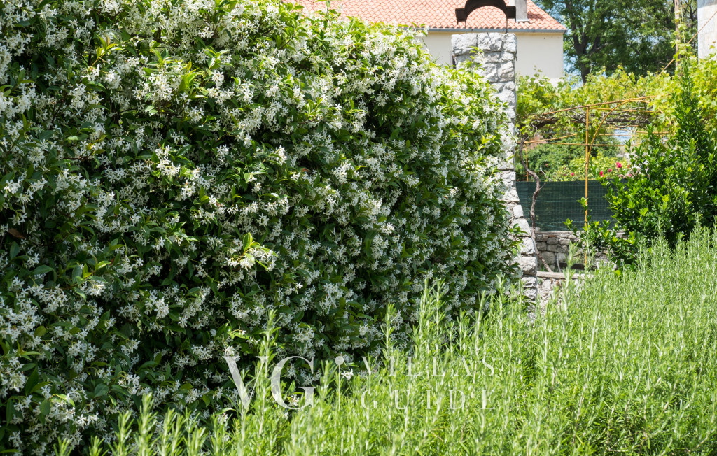 Villa Palazzo Limone with pool Mali Lošinj Giardino e esterni della proprietà