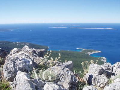 Villa Palazzo Limone with pool Mali Lošinj Microposizione