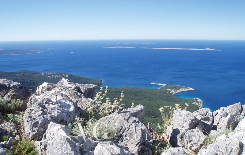 Villa Palazzo Limone with pool Mali Lošinj Microlocation