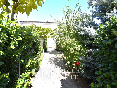 Villa Mihael - Makarska-Donji Vinjani Garden and property exterior