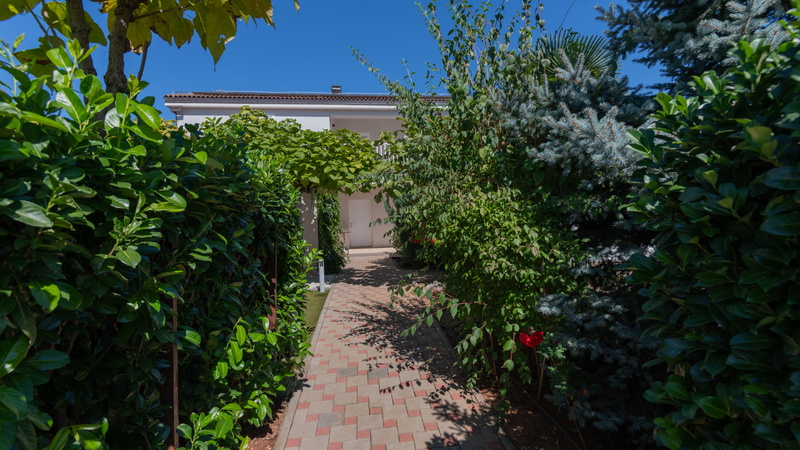 Villa Mihael - Makarska-Donji Vinjani