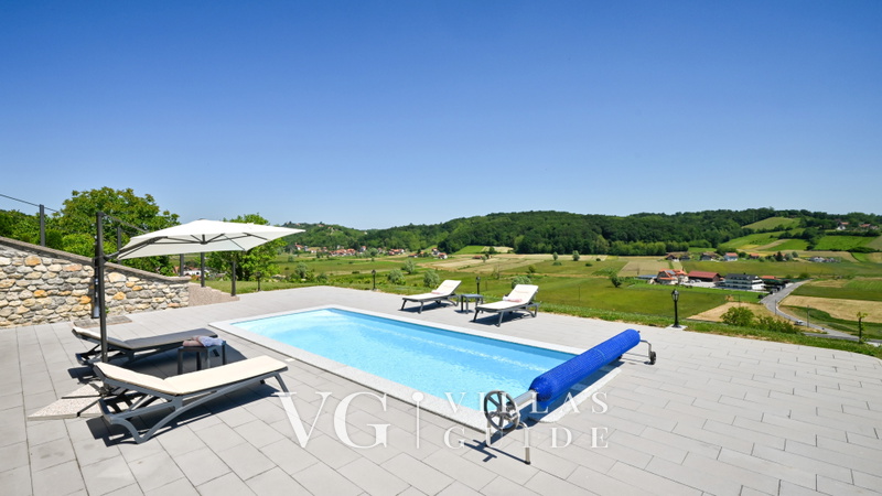 Villa Pine Log Pool