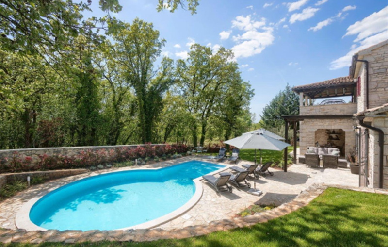 Villa White house B with pool Istria