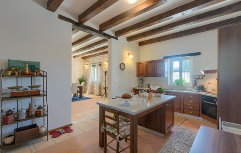 Villa White house B with pool Istria