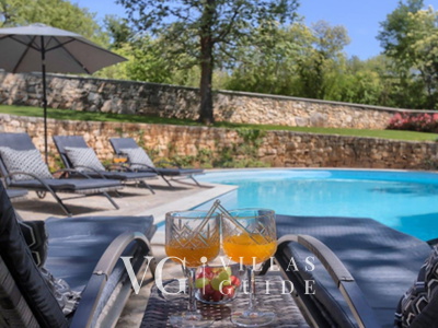 Villa White house B with pool Istria