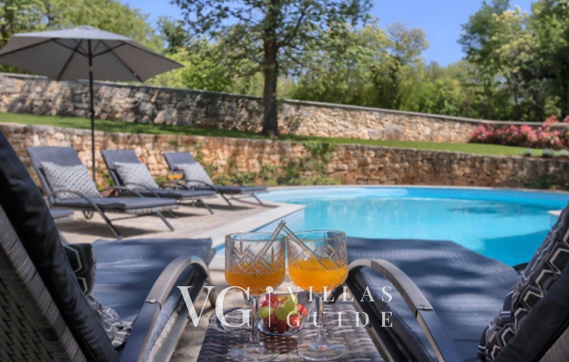 Villa White house B with pool Istria