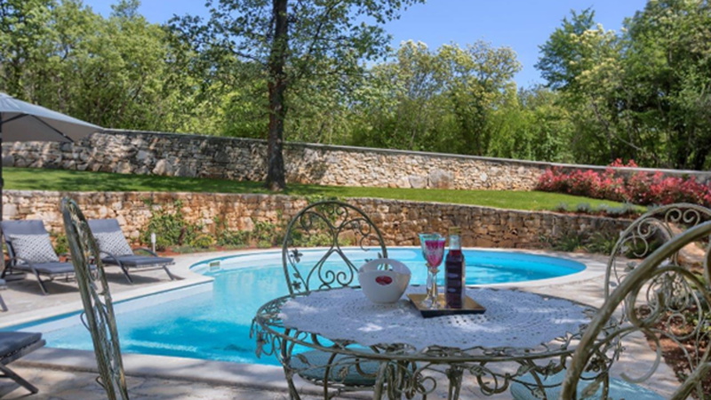 Villa White house B with pool Istria