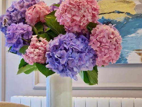 Apartment Lea - Rovinj