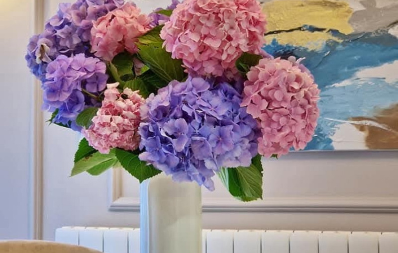 Apartment Lea - Rovinj