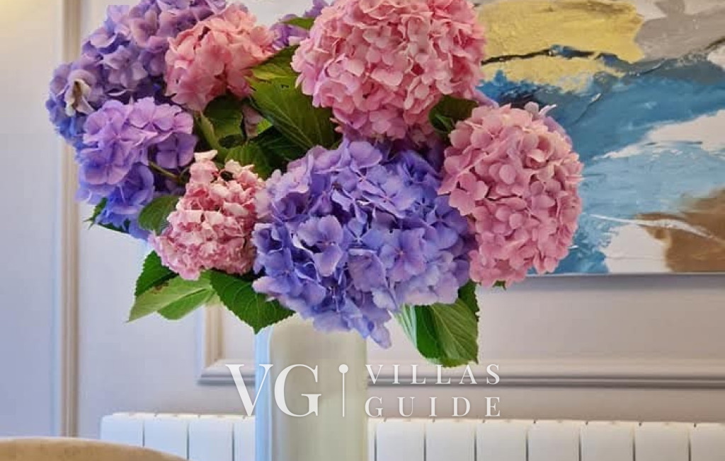 Apartment Lea - Rovinj Other