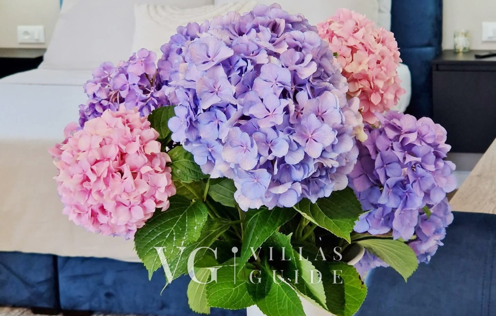 Studio Apartment Lea - Rovinj Living room