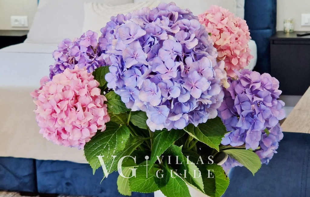 Studio Apartment Lea - Rovinj Living room