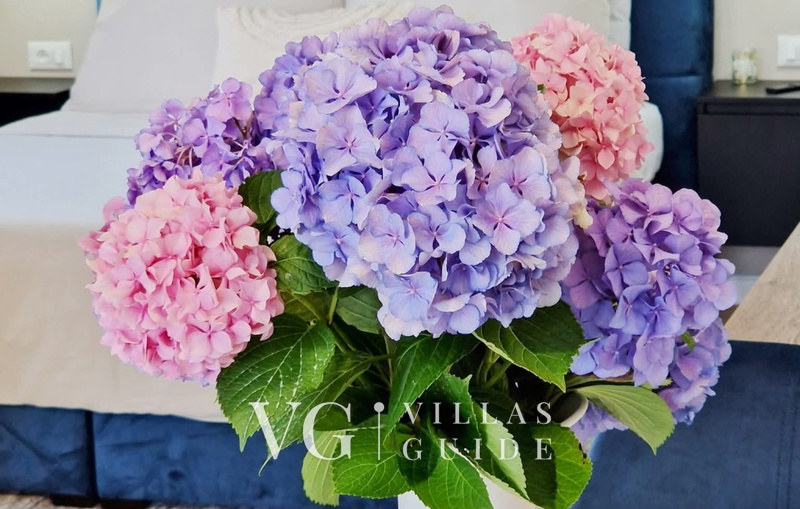 Studio Apartment Lea - Rovinj