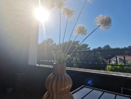 Studio Apartment Lea - Rovinj