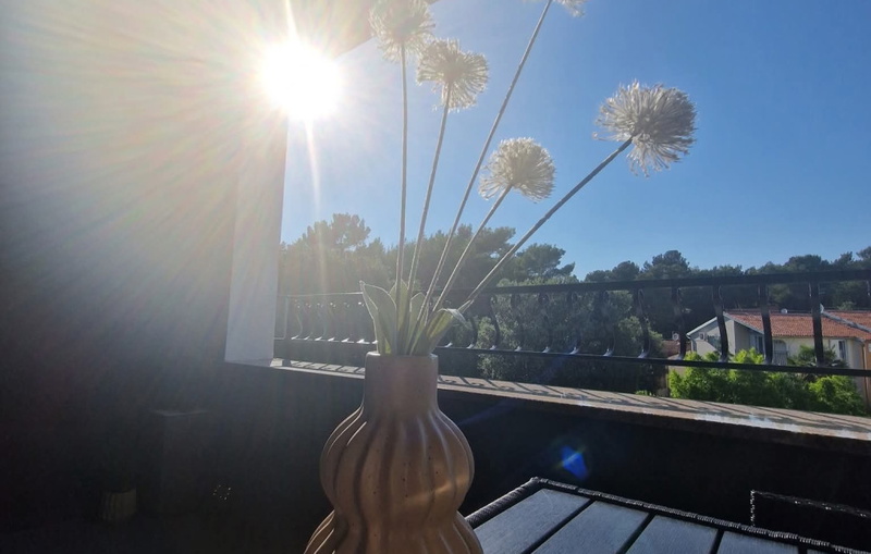 Studio Apartment Lea - Rovinj