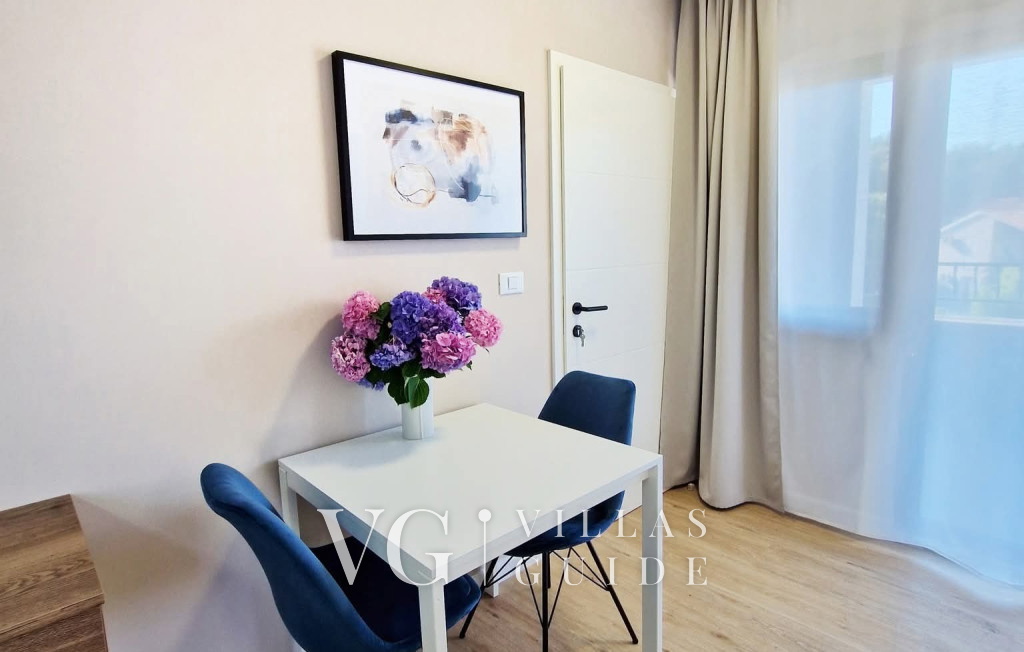 Studio Apartment Lea - Rovinj Kitchen