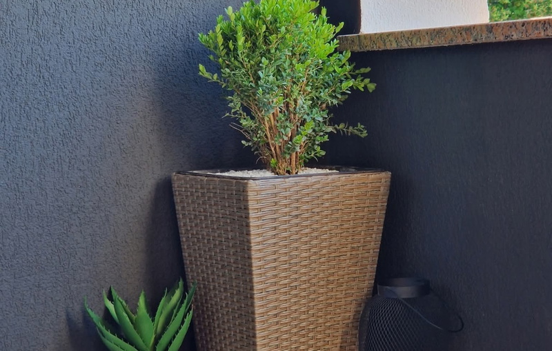 Studio Apartment Lea - Rovinj