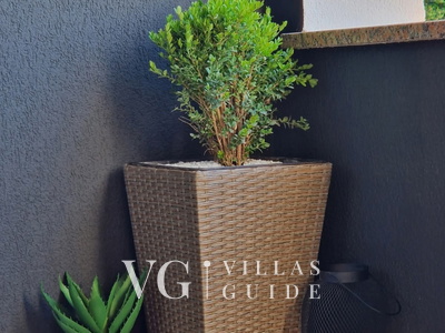 Studio Apartment Lea - Rovinj Other