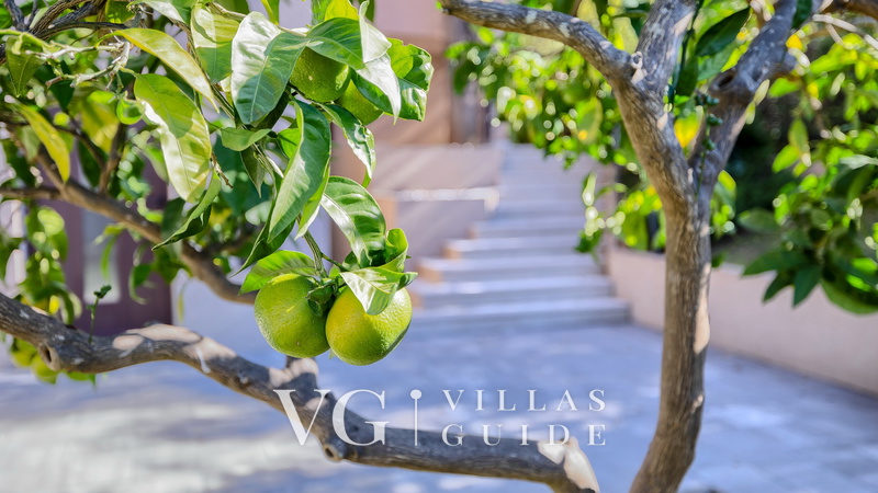 Villa Maruge Garten und Außenbereich