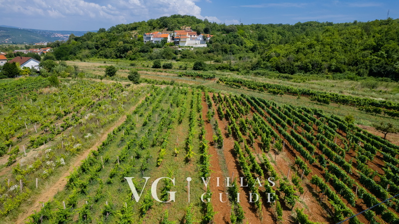 Villa Old House - Makarska-Šumet Garden and property exterior