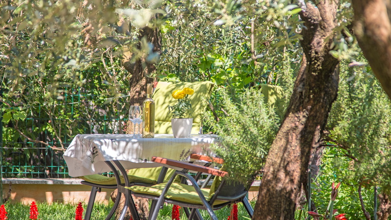 Apartman studio Oliva