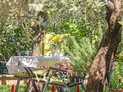 Apartman studio Oliva