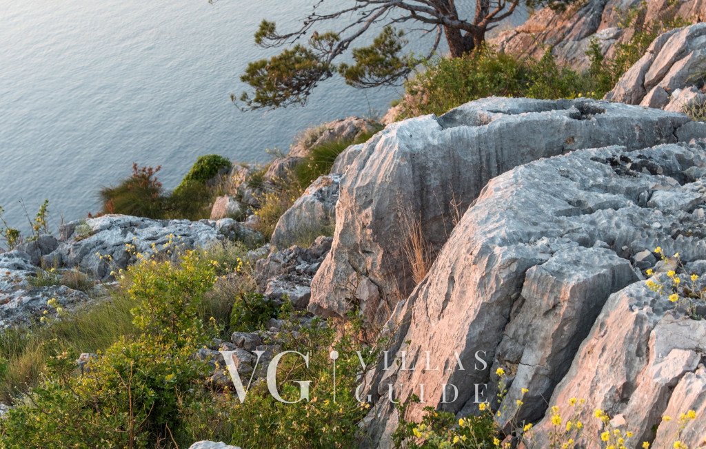 Villa Vista Microlocation