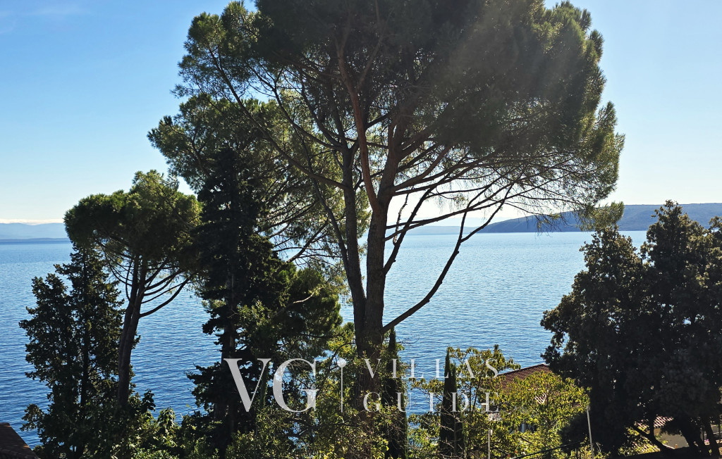 Villa Palazzo del mar with pool Opatija-Mošćenička Draga Garden and property exterior