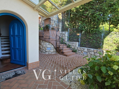 Villa Palazzo del mar with pool Opatija-Mošćenička Draga Garden and property exterior