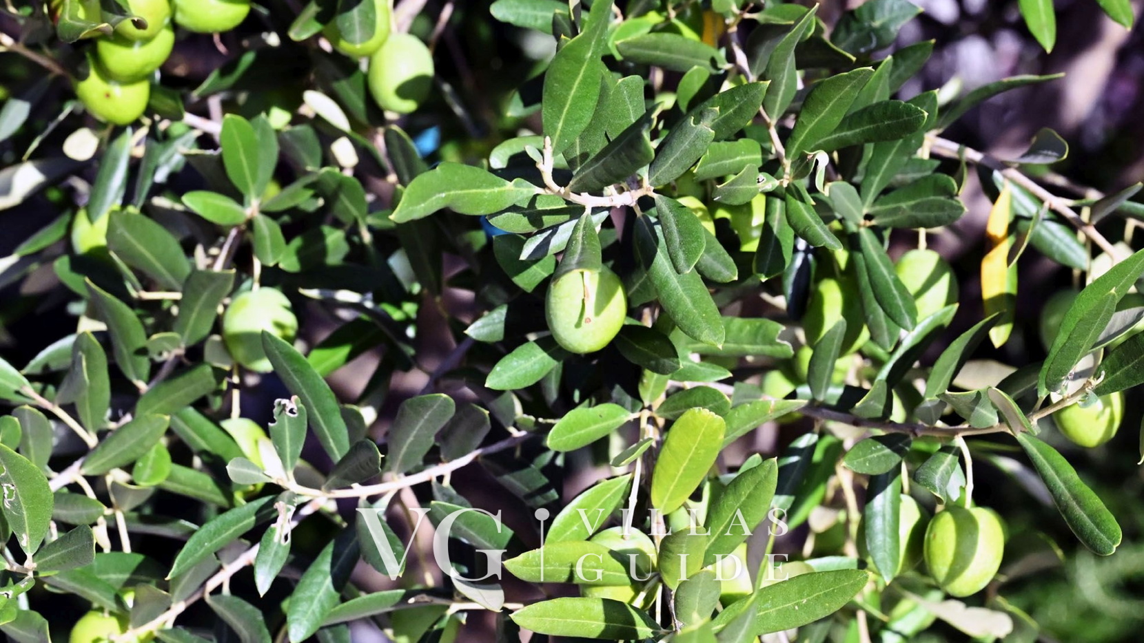 Villa Buby micro_location