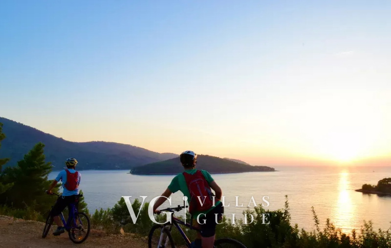 Villa Marinović Microposizione