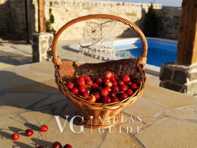 Juniper Stone Cottage Garten und Außenbereich