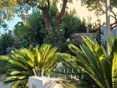 Apartman Paola 2 Dvorište i vanjski dio objekta