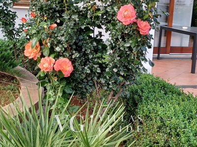 Apartman Paola 2 Dvorište i vanjski dio objekta