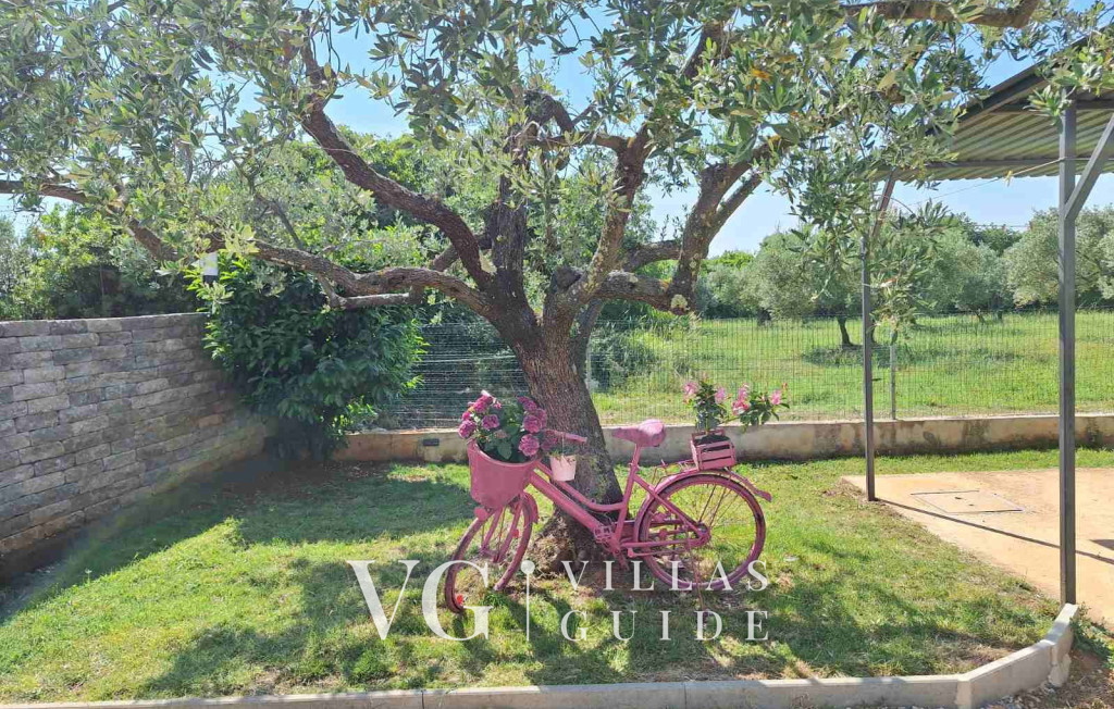 Lara's Oasis Zusatzinhalte