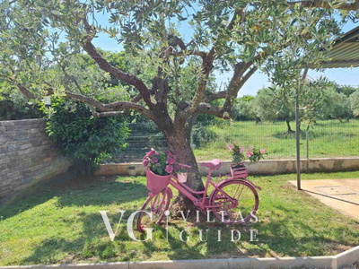 Casa Olive Garden Additional content