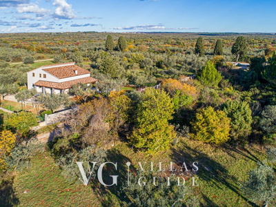 Casa Olive Garden Garden and property exterior