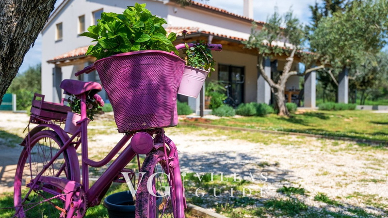 Casa Olive Garden - Whirlpool, Large Garden & Kids Fun Garden and property exterior