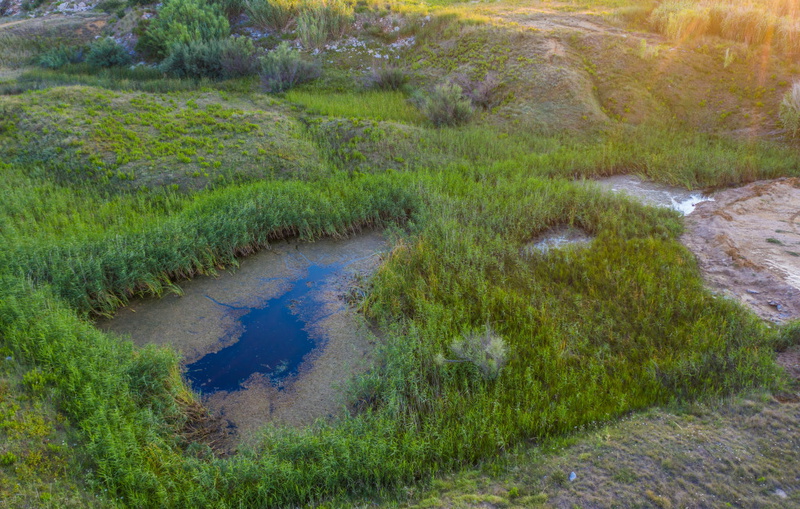 Villa Danica - Privlaka