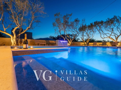 Villa Danica - Privlaka Pool