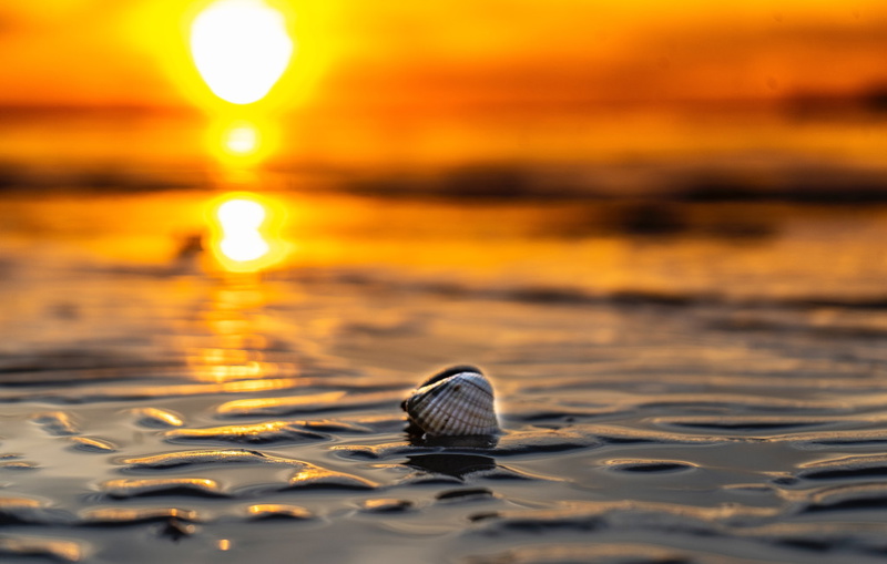 Villa Danica - Privlaka