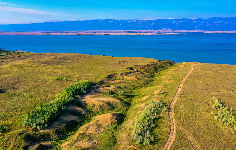 Villa Danica - Privlaka